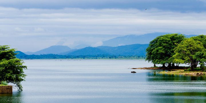udawalawe-reservoir-hemantha-fernando udawalawe-reservoir-hemantha-fernando